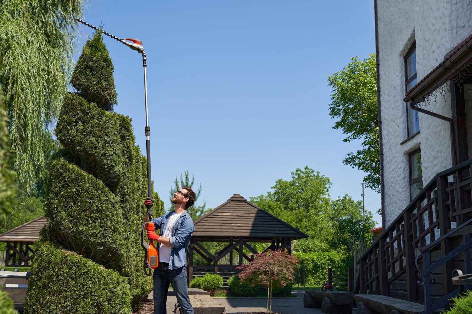 Jerome, ID Tree Service Company